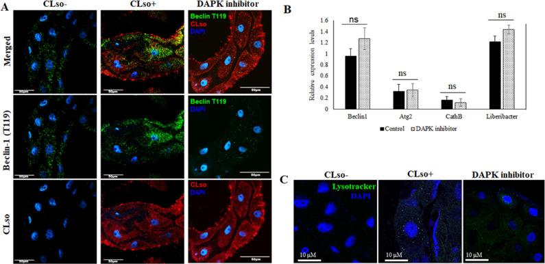 https://cdn.ncbi.nlm.nih.gov/pmc/blobs/2d35/10581152/d65b309472fe/spectrum.01301-23.f006.jpg