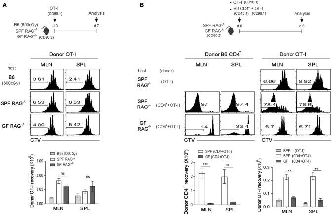https://cdn.ncbi.nlm.nih.gov/pmc/blobs/2d35/6116856/28d1146f0bc8/fimmu-09-01907-g0002.jpg