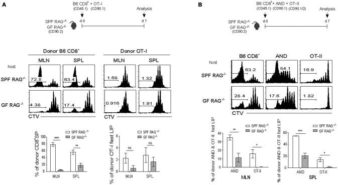 https://cdn.ncbi.nlm.nih.gov/pmc/blobs/2d35/6116856/5b96d9db764f/fimmu-09-01907-g0003.jpg