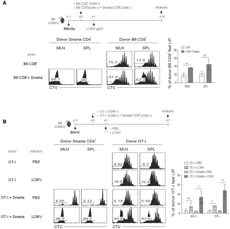 https://cdn.ncbi.nlm.nih.gov/pmc/blobs/2d35/6116856/6e9435ee25a5/fimmu-09-01907-g0004.jpg