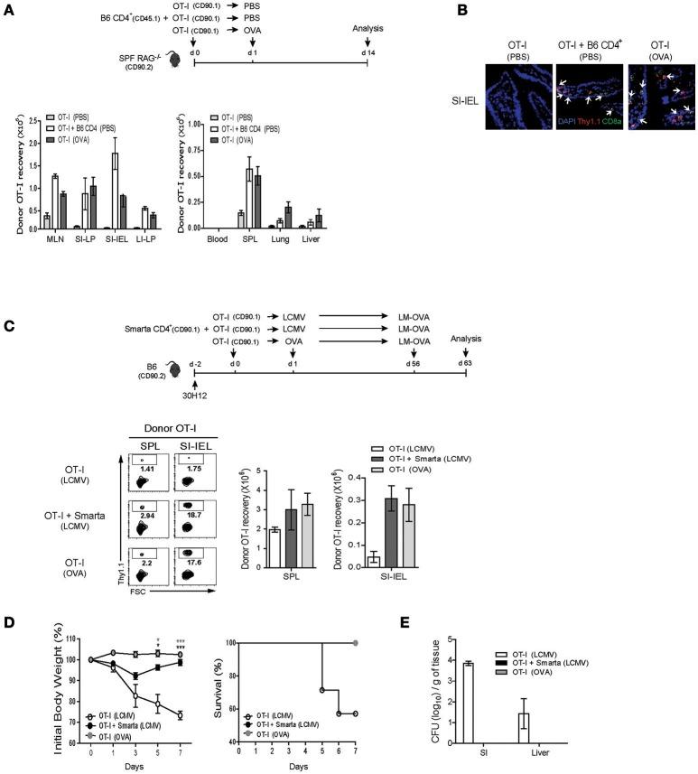 https://cdn.ncbi.nlm.nih.gov/pmc/blobs/2d35/6116856/b7afbc25c7c7/fimmu-09-01907-g0007.jpg