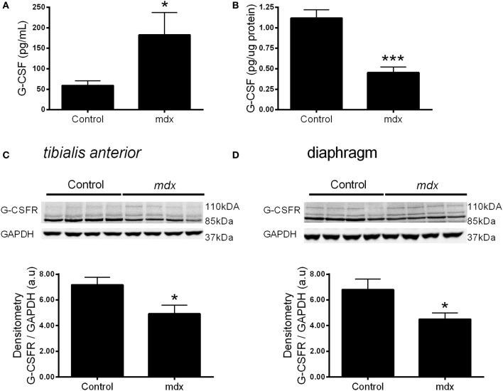 https://cdn.ncbi.nlm.nih.gov/pmc/blobs/2d36/4013466/960580d3387a/fphys-05-00170-g0004.jpg