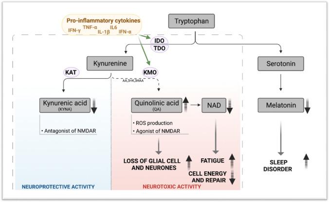 https://cdn.ncbi.nlm.nih.gov/pmc/blobs/2d3a/11073311/9166efa97191/18_2022_4380_Fig1_HTML.jpg