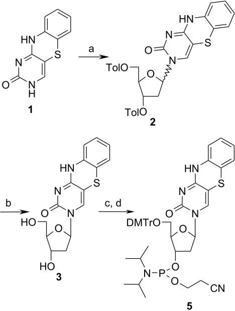 https://cdn.ncbi.nlm.nih.gov/pmc/blobs/2d3b/1201328/24972666861d/gki790s1.jpg