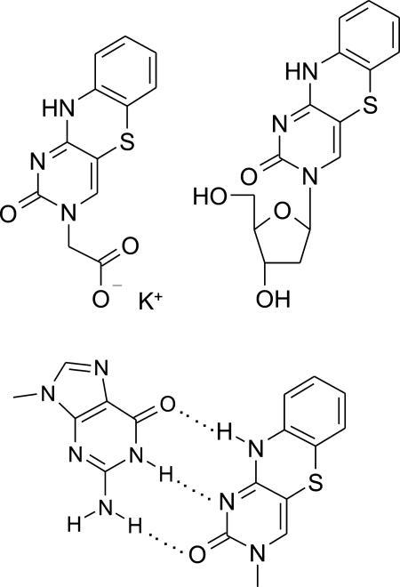https://cdn.ncbi.nlm.nih.gov/pmc/blobs/2d3b/1201328/793ce76e7d42/gki790f1.jpg