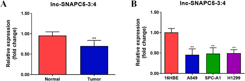 https://cdn.ncbi.nlm.nih.gov/pmc/blobs/2d3c/10835238/a23f3762eab1/gr1.jpg