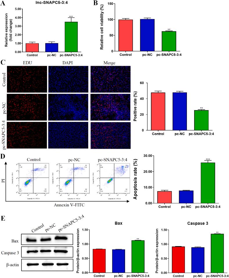 https://cdn.ncbi.nlm.nih.gov/pmc/blobs/2d3c/10835238/e6cbb04f7545/gr2.jpg