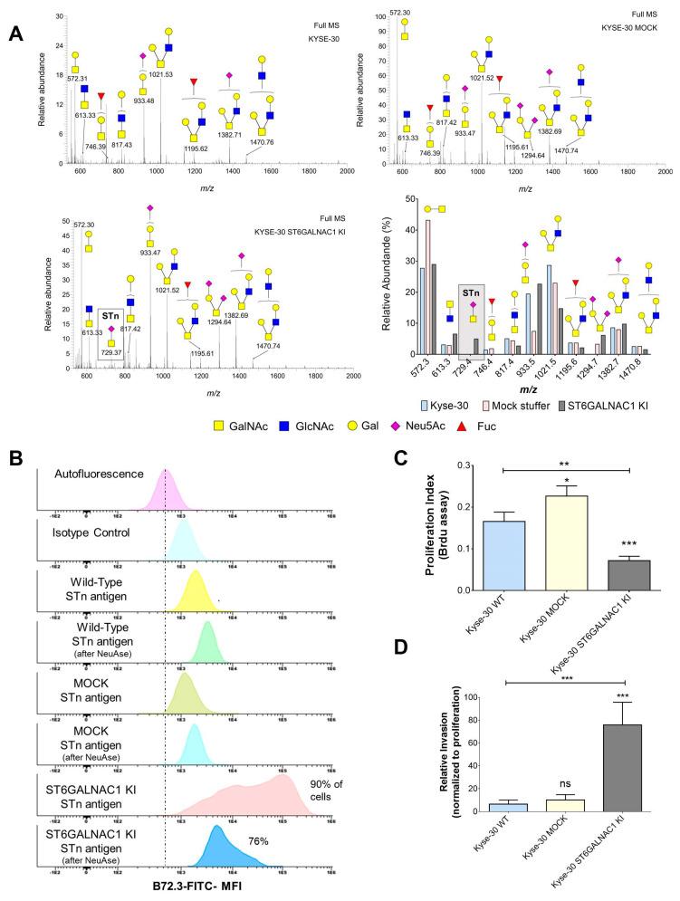 https://cdn.ncbi.nlm.nih.gov/pmc/blobs/2d3c/7915893/21f238141df3/ijms-22-01664-g002.jpg