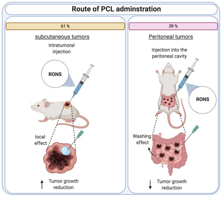 https://cdn.ncbi.nlm.nih.gov/pmc/blobs/2d3d/7865855/535221c6bf6e/cancers-13-00452-g004.jpg
