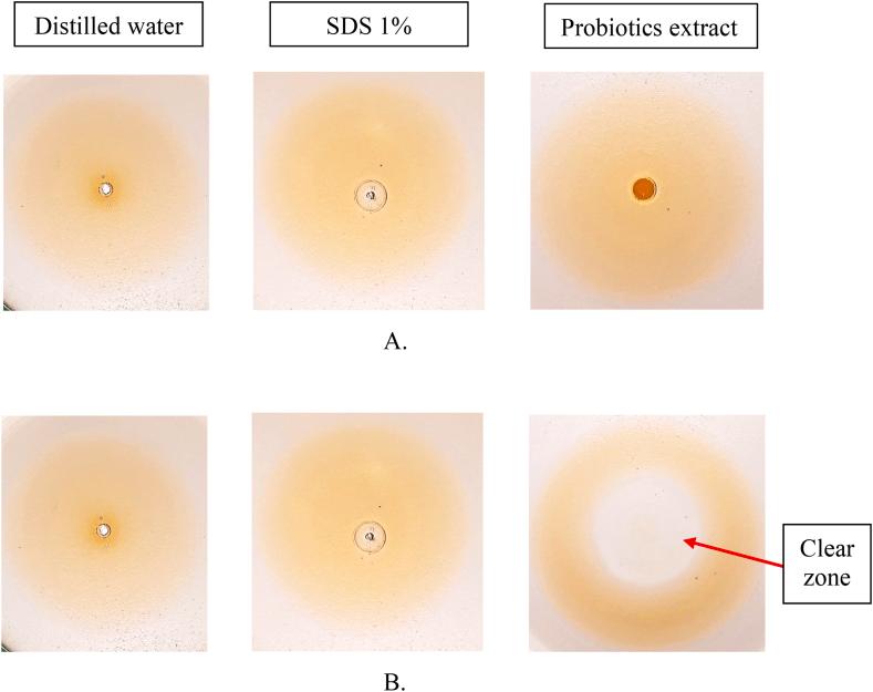 https://cdn.ncbi.nlm.nih.gov/pmc/blobs/2d40/10805758/d2da295f75d8/gr1.jpg