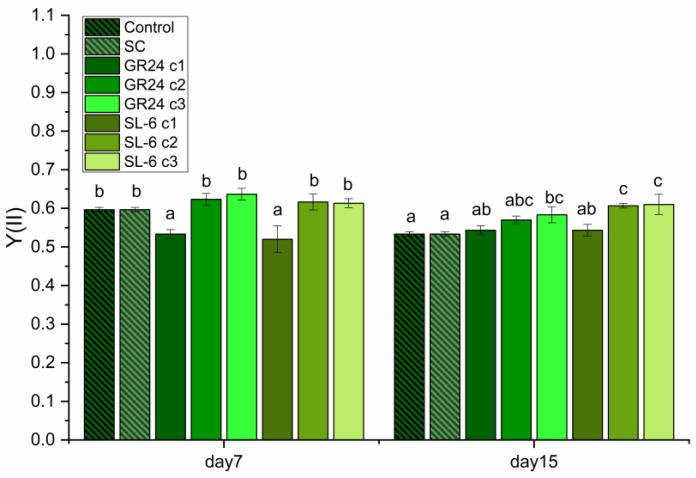 https://cdn.ncbi.nlm.nih.gov/pmc/blobs/2d40/11990285/4b3da968ebeb/plants-14-01010-g004.jpg