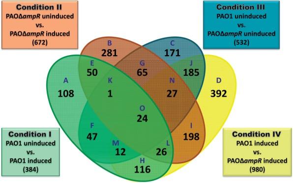 https://cdn.ncbi.nlm.nih.gov/pmc/blobs/2d41/3902932/c5c7038caad4/gkt942f2p.jpg