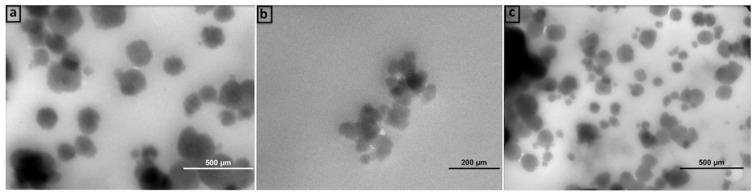 https://cdn.ncbi.nlm.nih.gov/pmc/blobs/2d42/11721921/0c29a19959fb/materials-18-00108-g006.jpg