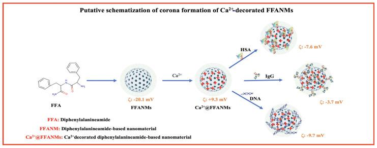 https://cdn.ncbi.nlm.nih.gov/pmc/blobs/2d42/11721921/34261620cdef/materials-18-00108-g005.jpg