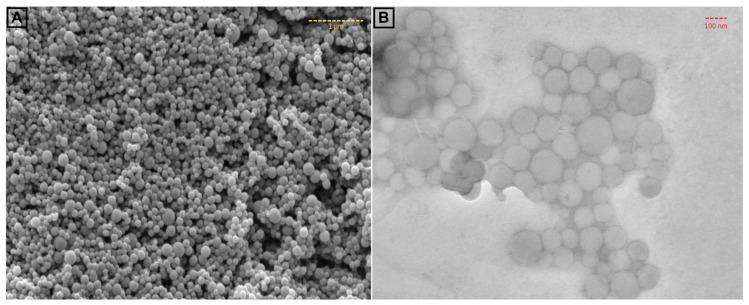 https://cdn.ncbi.nlm.nih.gov/pmc/blobs/2d42/11721921/aeb49d4248aa/materials-18-00108-g002.jpg