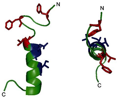 https://cdn.ncbi.nlm.nih.gov/pmc/blobs/2d44/3712464/aad361cfbbc7/mmi0085-0945-f9.jpg