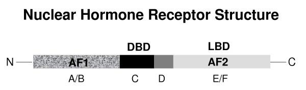 https://cdn.ncbi.nlm.nih.gov/pmc/blobs/2d47/1459164/02c1185e4f1a/1477-7827-4-16-2.jpg