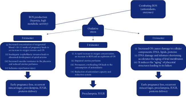 https://cdn.ncbi.nlm.nih.gov/pmc/blobs/2d47/7512072/01143e2a8d5b/OMCL2020-6398520.001.jpg