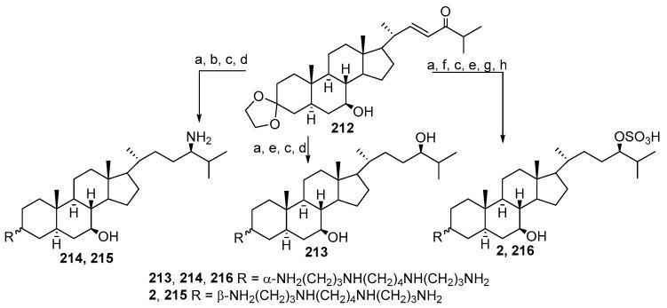 https://cdn.ncbi.nlm.nih.gov/pmc/blobs/2d47/8834734/396c1f98bb5c/ijms-23-01075-sch032.jpg