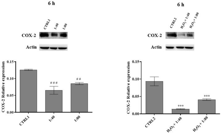 https://cdn.ncbi.nlm.nih.gov/pmc/blobs/2d48/9920497/45c33dcaaedf/molecules-28-01222-g007.jpg