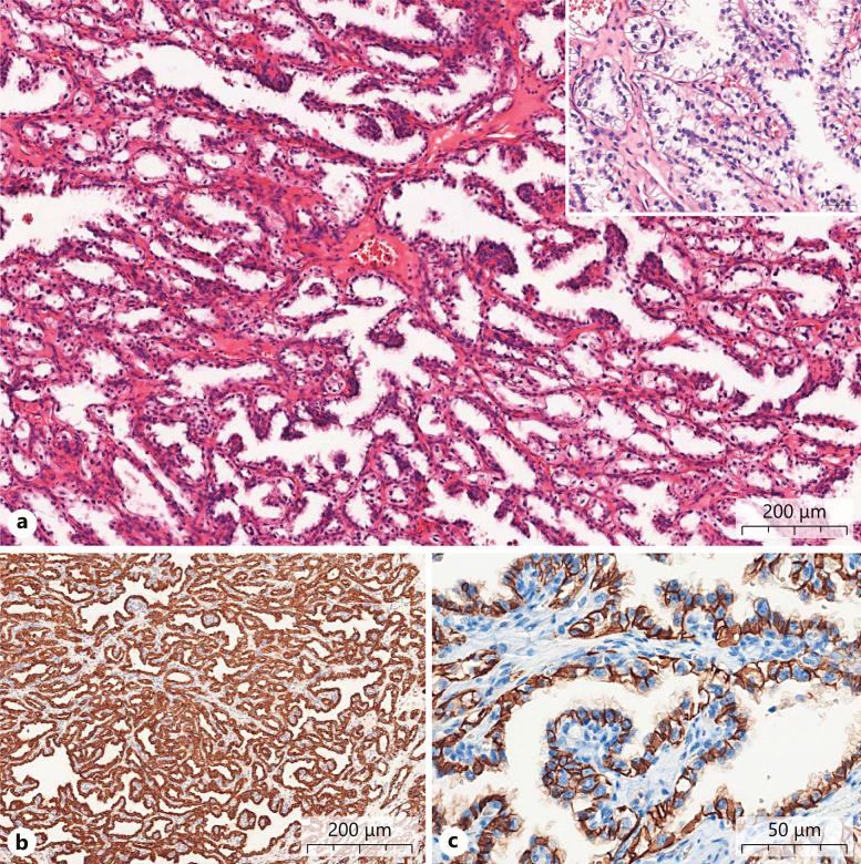 https://cdn.ncbi.nlm.nih.gov/pmc/blobs/2d4a/10614572/70bf50f9536f/pat-2023-0090-0005-529276_F02.jpg