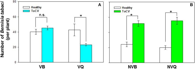 https://cdn.ncbi.nlm.nih.gov/pmc/blobs/2d4b/5776130/1c23dd6dcae9/fpls-08-02271-g0005.jpg