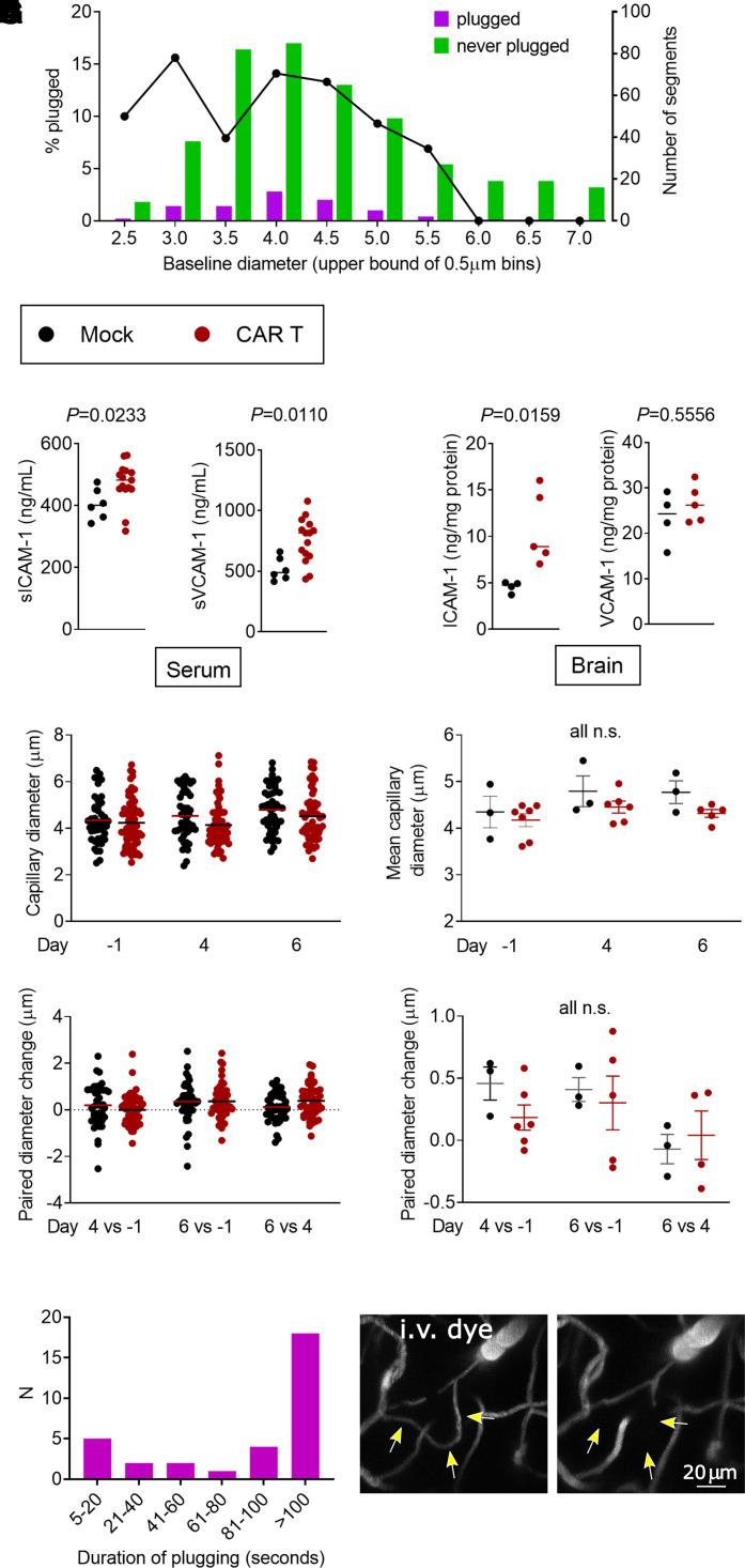 https://cdn.ncbi.nlm.nih.gov/pmc/blobs/2d4b/8833245/1e1d812d4d61/fcab309f6.jpg