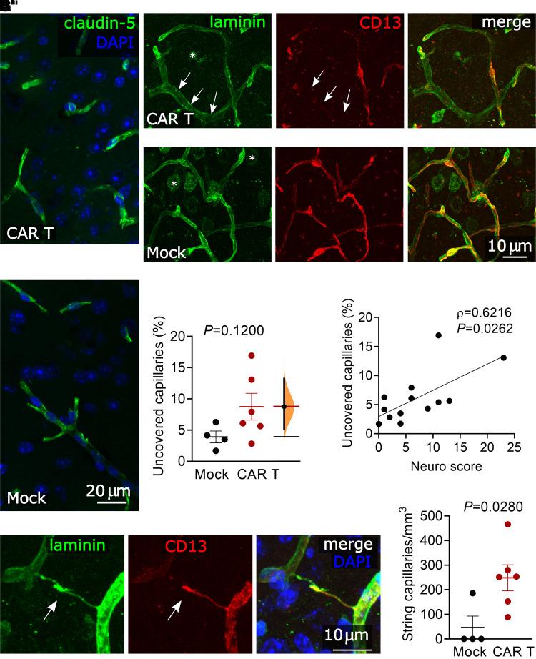 https://cdn.ncbi.nlm.nih.gov/pmc/blobs/2d4b/8833245/7dc1a0a32fa0/fcab309f3.jpg