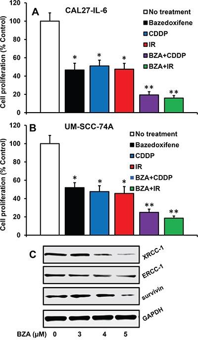 https://cdn.ncbi.nlm.nih.gov/pmc/blobs/2d4c/5620145/ee1a93738a5d/oncotarget-08-66912-g003.jpg