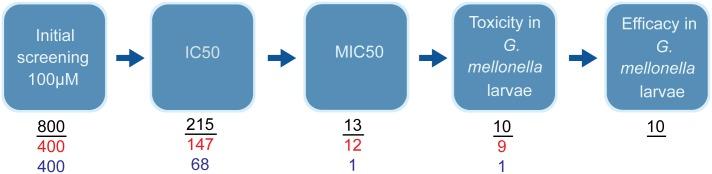 https://cdn.ncbi.nlm.nih.gov/pmc/blobs/2d4c/5940239/6375ec35e37f/pntd.0006437.g001.jpg