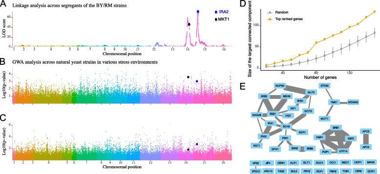 https://cdn.ncbi.nlm.nih.gov/pmc/blobs/2d4e/10935846/f42dbb9ff7fd/12915_2024_1856_Fig5_HTML.jpg