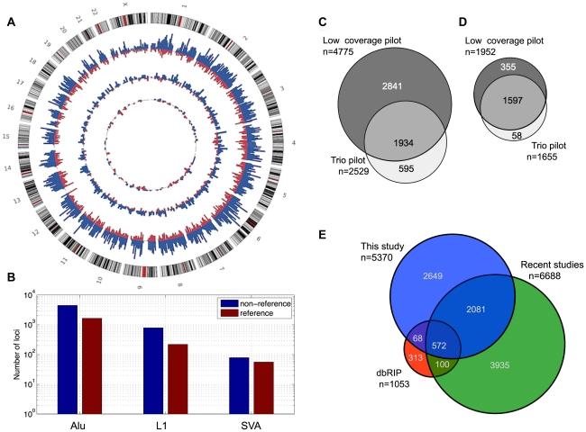 https://cdn.ncbi.nlm.nih.gov/pmc/blobs/2d4e/3158055/764920c06d8e/pgen.1002236.g002.jpg