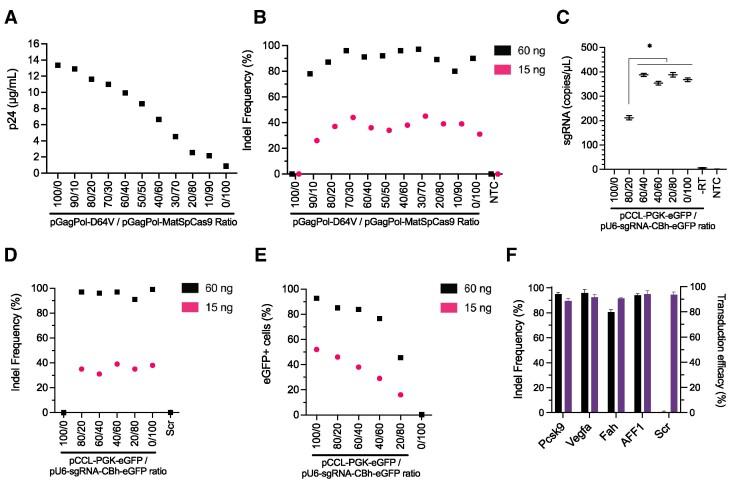 https://cdn.ncbi.nlm.nih.gov/pmc/blobs/2d50/10570023/5660cb419484/gkad676fig3.jpg