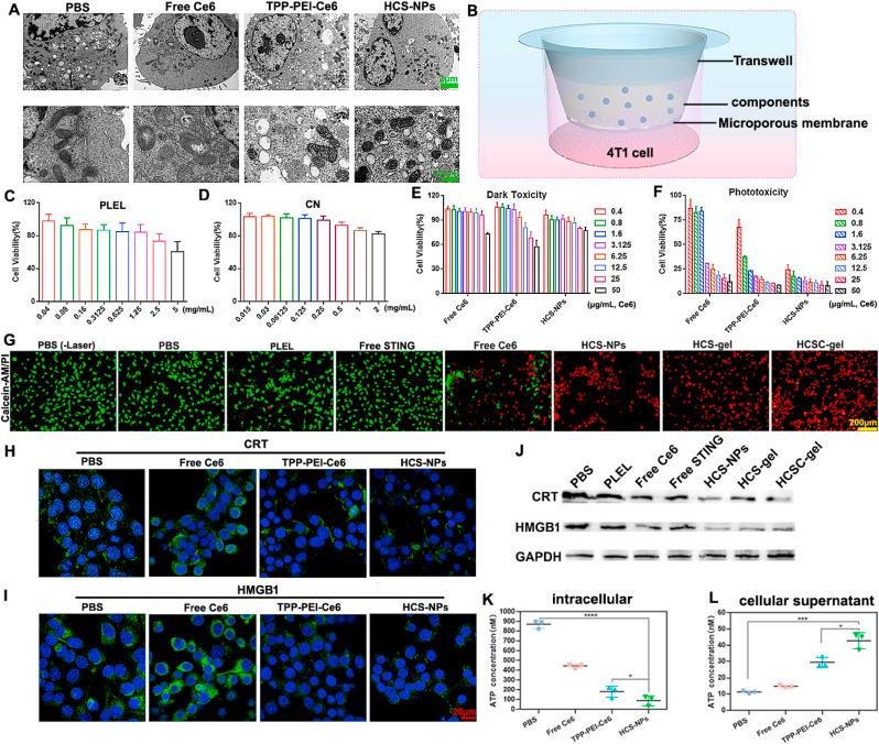 https://cdn.ncbi.nlm.nih.gov/pmc/blobs/2d50/11870144/6e7d7384610c/gr3.jpg