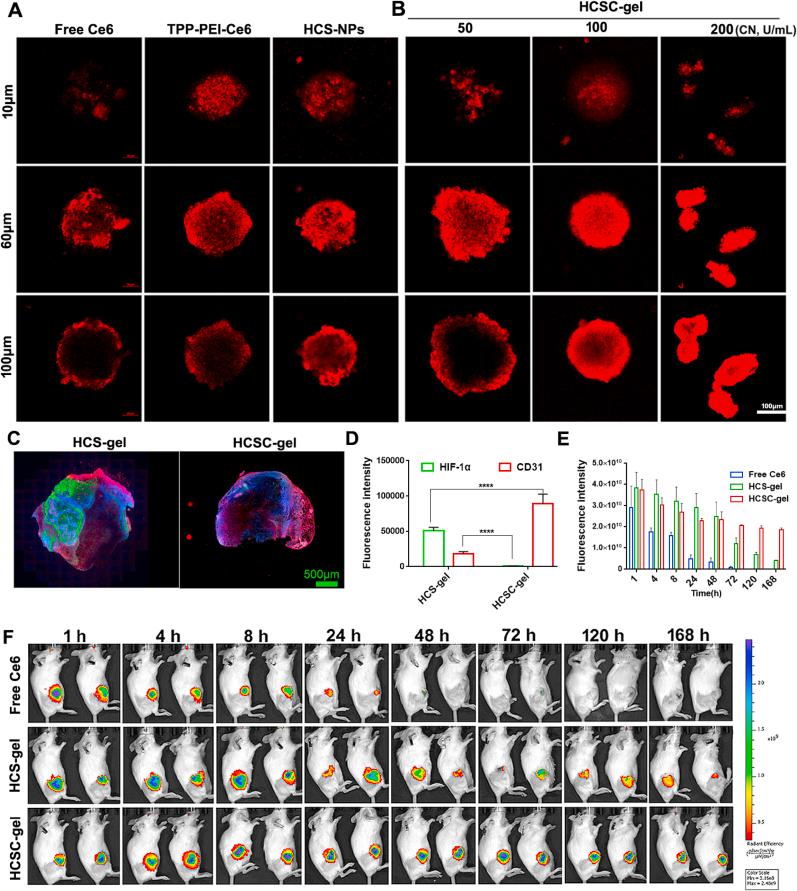 https://cdn.ncbi.nlm.nih.gov/pmc/blobs/2d50/11870144/98e87790c255/gr5.jpg