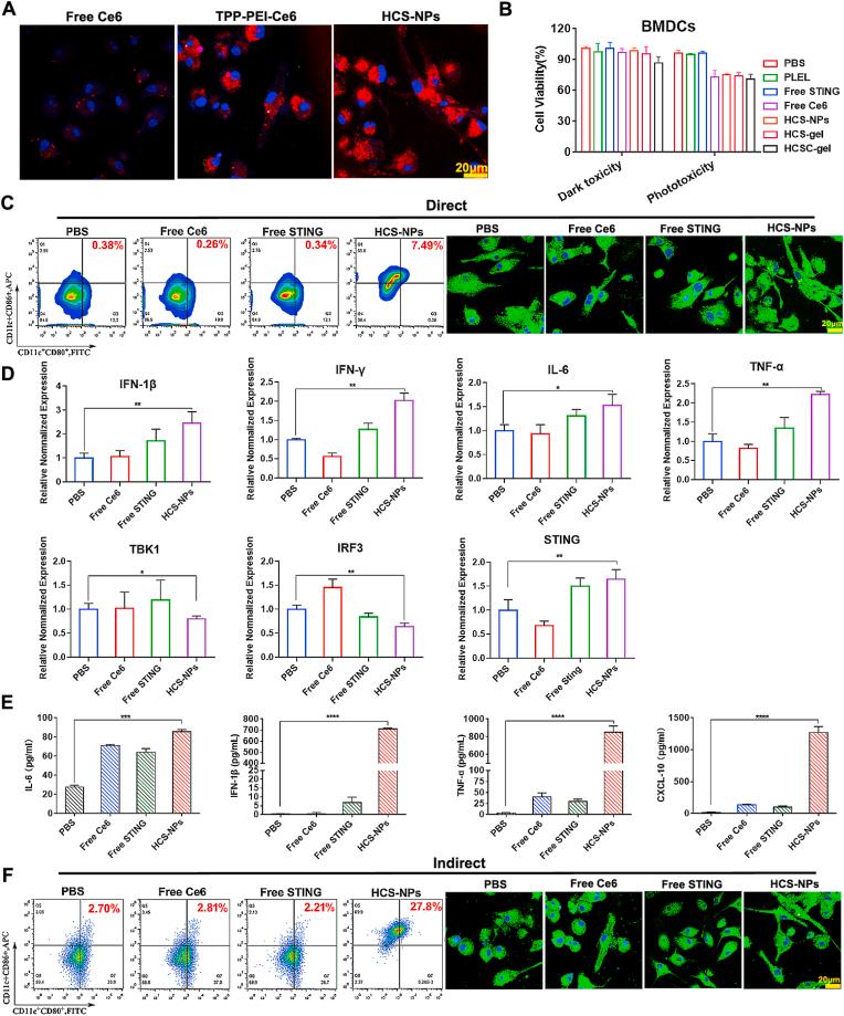 https://cdn.ncbi.nlm.nih.gov/pmc/blobs/2d50/11870144/a402aa472f74/gr4.jpg