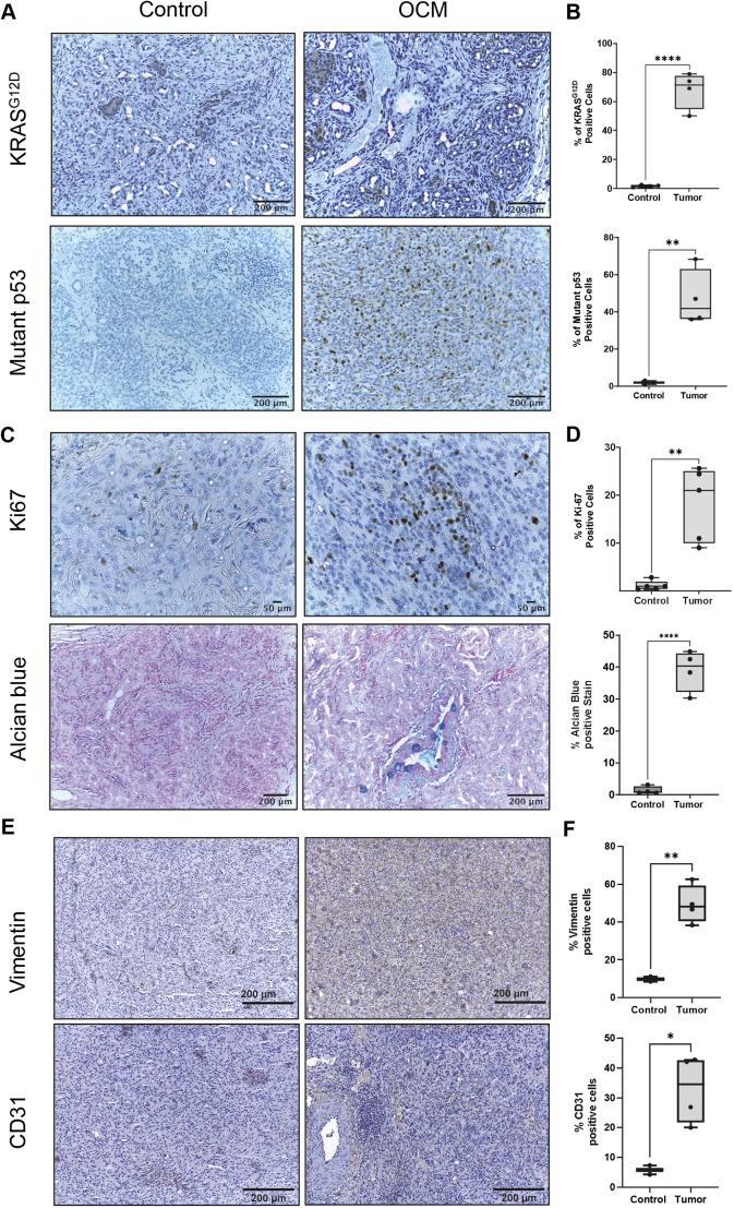 https://cdn.ncbi.nlm.nih.gov/pmc/blobs/2d50/9884120/40f4438173e5/dmm-16-049699-g3.jpg