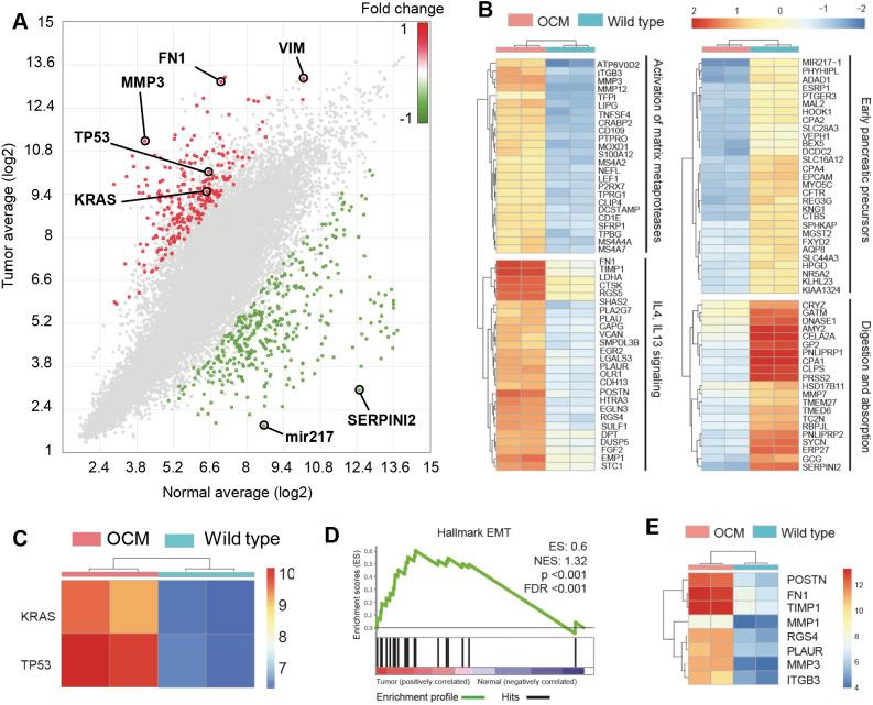 https://cdn.ncbi.nlm.nih.gov/pmc/blobs/2d50/9884120/a94e5e4c5673/dmm-16-049699-g5.jpg
