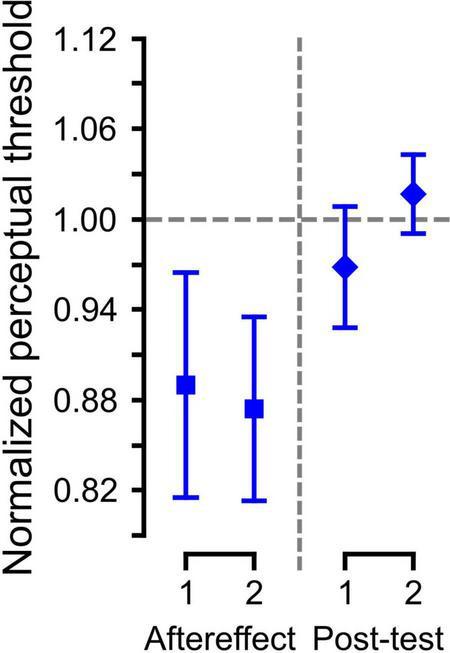https://cdn.ncbi.nlm.nih.gov/pmc/blobs/2d51/9088678/5aeca3c47886/fpsyg-13-839087-g004.jpg