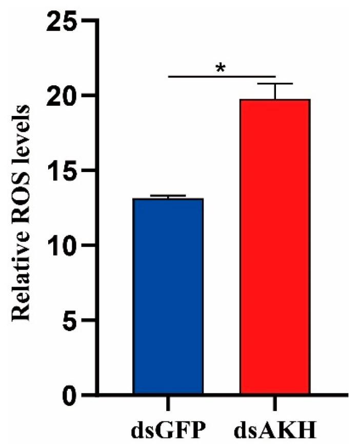 https://cdn.ncbi.nlm.nih.gov/pmc/blobs/2d52/11204299/02c627e3fafc/insects-15-00436-g007.jpg