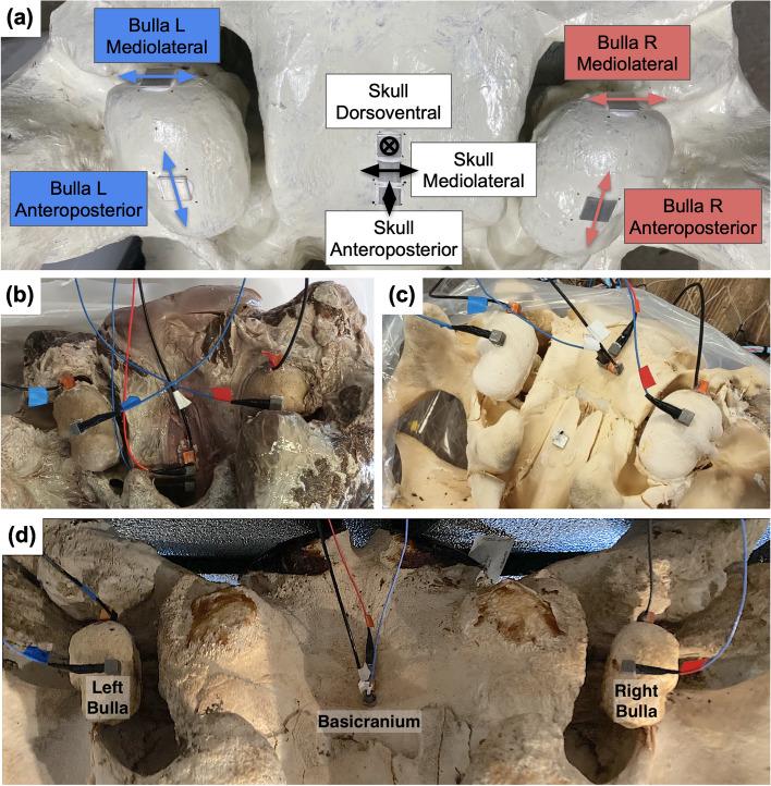 https://cdn.ncbi.nlm.nih.gov/pmc/blobs/2d52/12019329/5a4163af1171/41598_2025_98100_Fig3_HTML.jpg