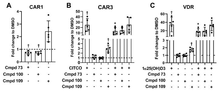 https://cdn.ncbi.nlm.nih.gov/pmc/blobs/2d55/9030254/306757f437c5/cells-11-01299-g006.jpg