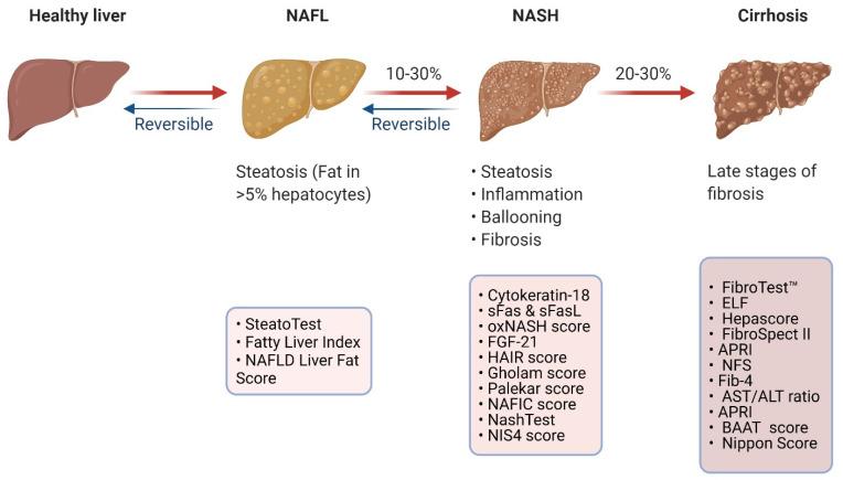 https://cdn.ncbi.nlm.nih.gov/pmc/blobs/2d56/8871470/aeec3bcc9e6c/diagnostics-12-00407-g001.jpg
