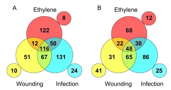 https://cdn.ncbi.nlm.nih.gov/pmc/blobs/2d57/2956543/309e85b1875b/1471-2229-10-194-1.jpg