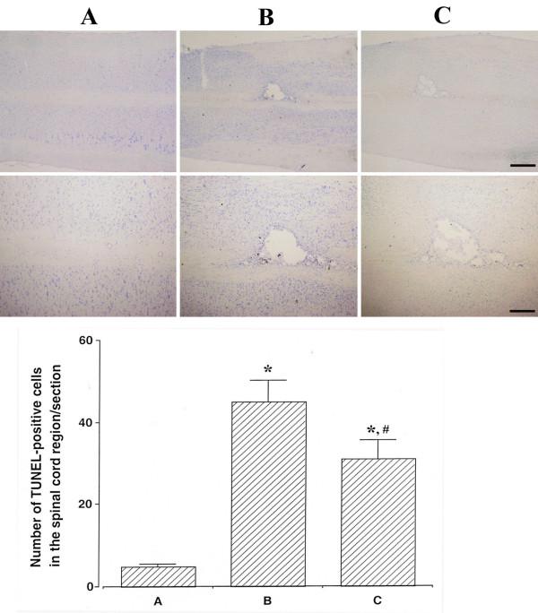 https://cdn.ncbi.nlm.nih.gov/pmc/blobs/2d58/4028106/539ee33a70a2/1423-0127-21-43-3.jpg