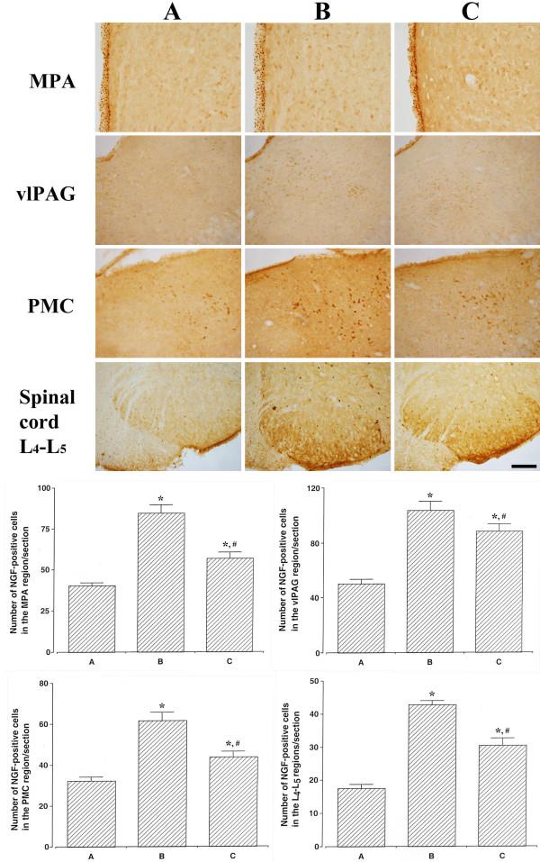https://cdn.ncbi.nlm.nih.gov/pmc/blobs/2d58/4028106/617ce7ef1847/1423-0127-21-43-6.jpg