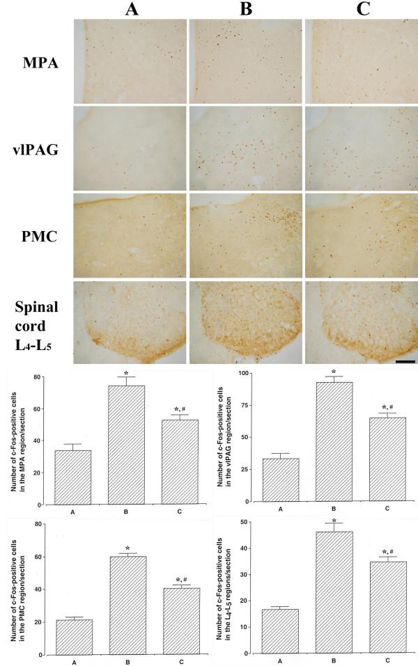 https://cdn.ncbi.nlm.nih.gov/pmc/blobs/2d58/4028106/ec6aa14e7e2f/1423-0127-21-43-5.jpg