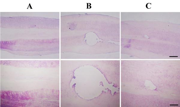 https://cdn.ncbi.nlm.nih.gov/pmc/blobs/2d58/4028106/fcf60bdf476c/1423-0127-21-43-2.jpg