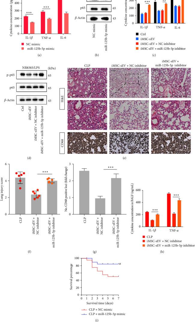 https://cdn.ncbi.nlm.nih.gov/pmc/blobs/2d59/10329558/b885c393d72c/JIR2023-8987049.005.jpg