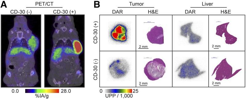 https://cdn.ncbi.nlm.nih.gov/pmc/blobs/2d59/6207972/254ad929d7fb/10.1177_1536012118801223-fig4.jpg